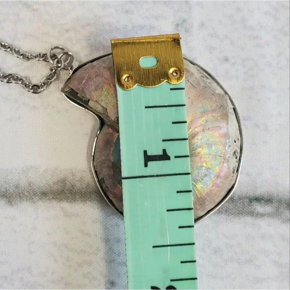 Ammonite Fossil Shell with Silver Plating - Picture 13 of 15